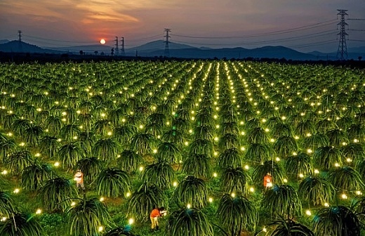 Bài viết tổng hợp | 3